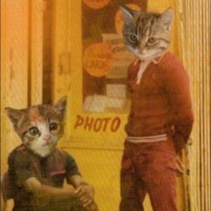 Meet your Posher, Jasmine